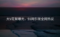 大V花絮曝光，91网引发全网热议