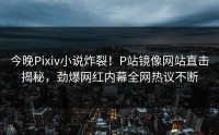今晚Pixiv小说炸裂！P站镜像网站直击揭秘，劲爆网红内幕全网热议不断