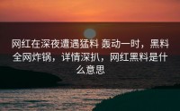 网红在深夜遭遇猛料 轰动一时，黑料全网炸锅，详情深扒，网红黑料是什么意思