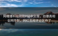 网曝爆料站刚刚P站中文版，劲爆真相全网炸裂，网红丑闻评论区炸了