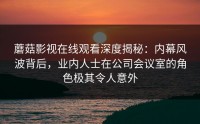 蘑菇影视在线观看深度揭秘：内幕风波背后，业内人士在公司会议室的角色极其令人意外