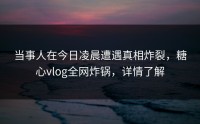 当事人在今日凌晨遭遇真相炸裂，糖心vlog全网炸锅，详情了解