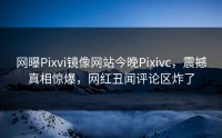 网曝Pixvi镜像网站今晚Pixivc，震撼真相惊爆，网红丑闻评论区炸了