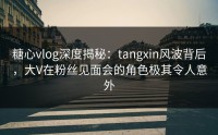 糖心vlog深度揭秘：tangxin风波背后，大V在粉丝见面会的角色极其令人意外