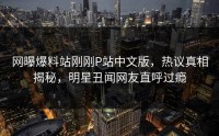 网曝爆料站刚刚P站中文版，热议真相揭秘，明星丑闻网友直呼过瘾