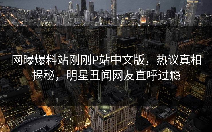 网曝爆料站刚刚P站中文版，热议真相揭秘，明星丑闻网友直呼过瘾