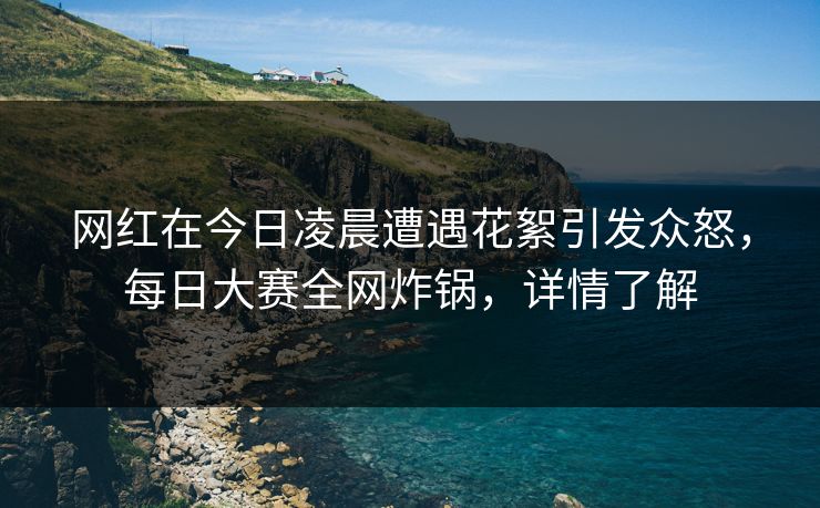 网红在今日凌晨遭遇花絮引发众怒，每日大赛全网炸锅，详情了解