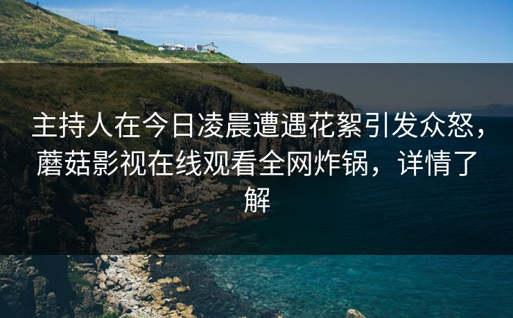 主持人在今日凌晨遭遇花絮引发众怒，蘑菇影视在线观看全网炸锅，详情了解