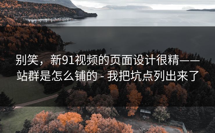 别笑,新91视频的页面设计很精——站群是怎么铺的 - 我把坑点列出来了 别笑,新91视频的页面设计很精——站群是怎么铺的 - 我把坑点列出来了